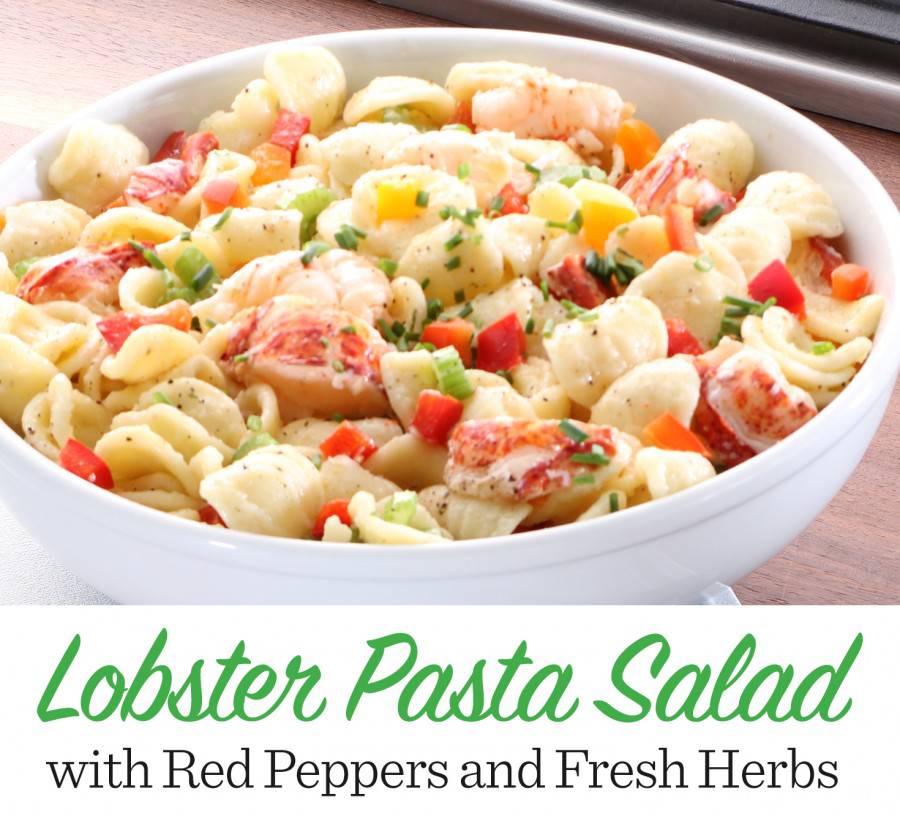 lobster-pasta-salad-1