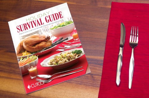 Download our FREE Holiday Survival Guide
