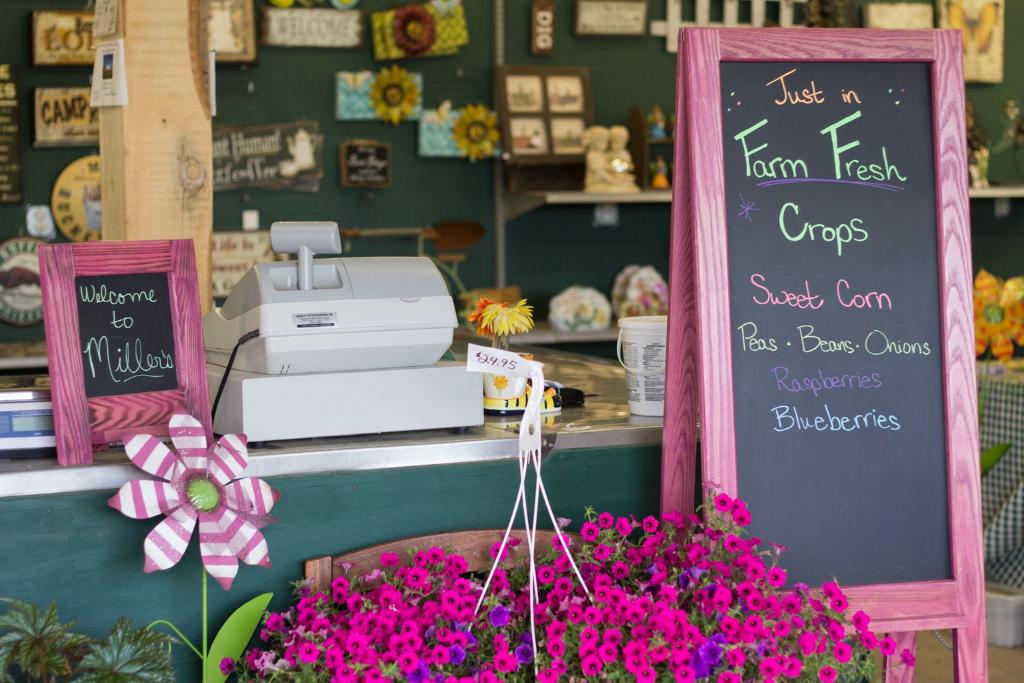 Field Trip: A Visit to the Local Farmers Market