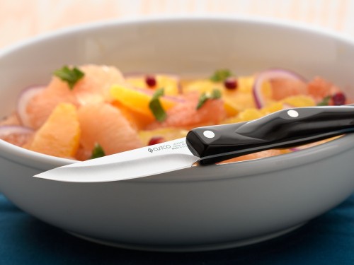 A New Paring Knife From Cutco