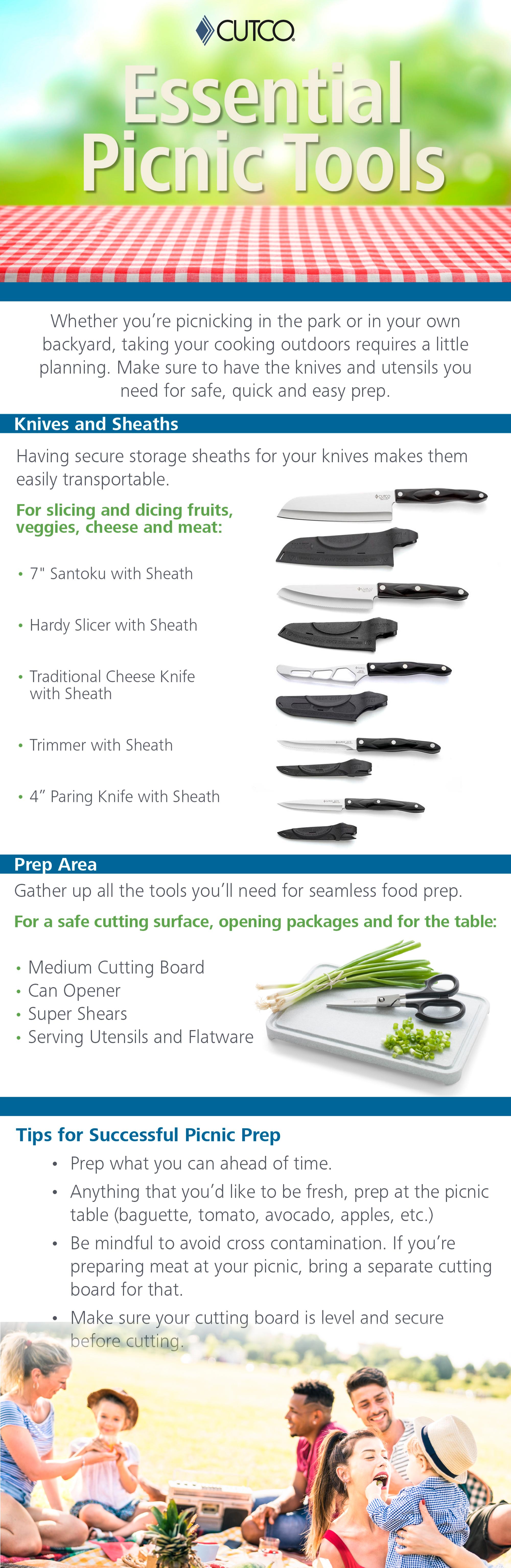 Essential picnic tools infographic.