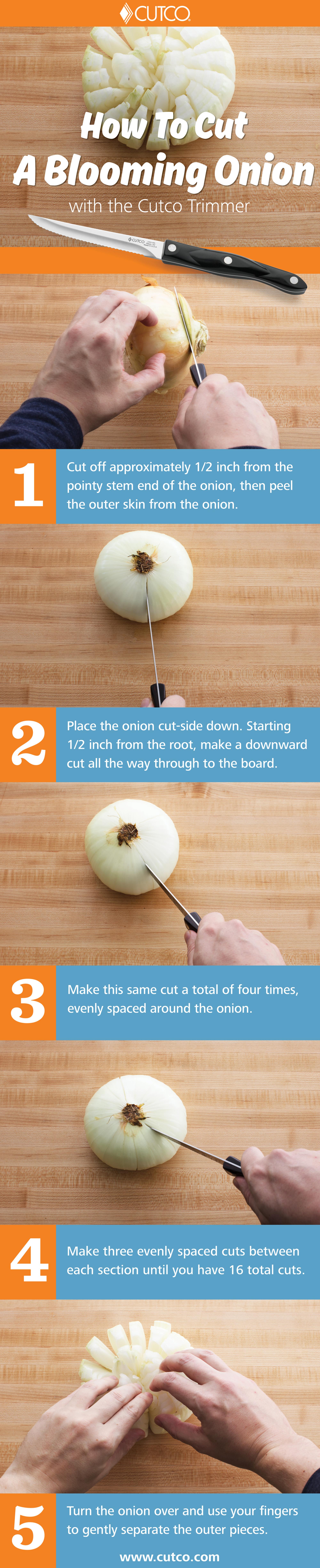 How to cut a blooming onion infograph.