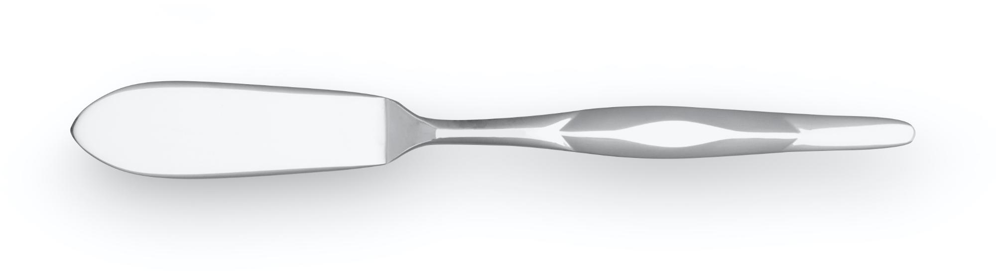 Stainless Butter Knife