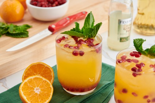 Festive Winter Holiday Citrus Cocktail