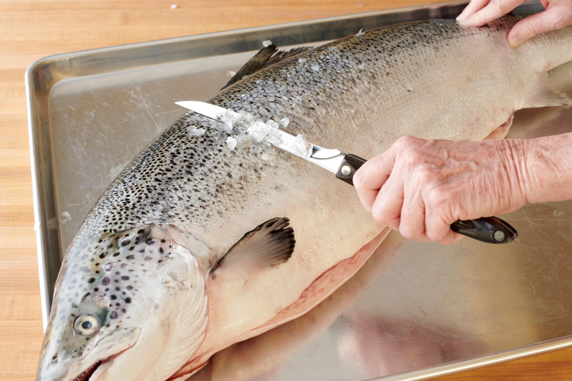 Using the boning knife to scale the salmon.