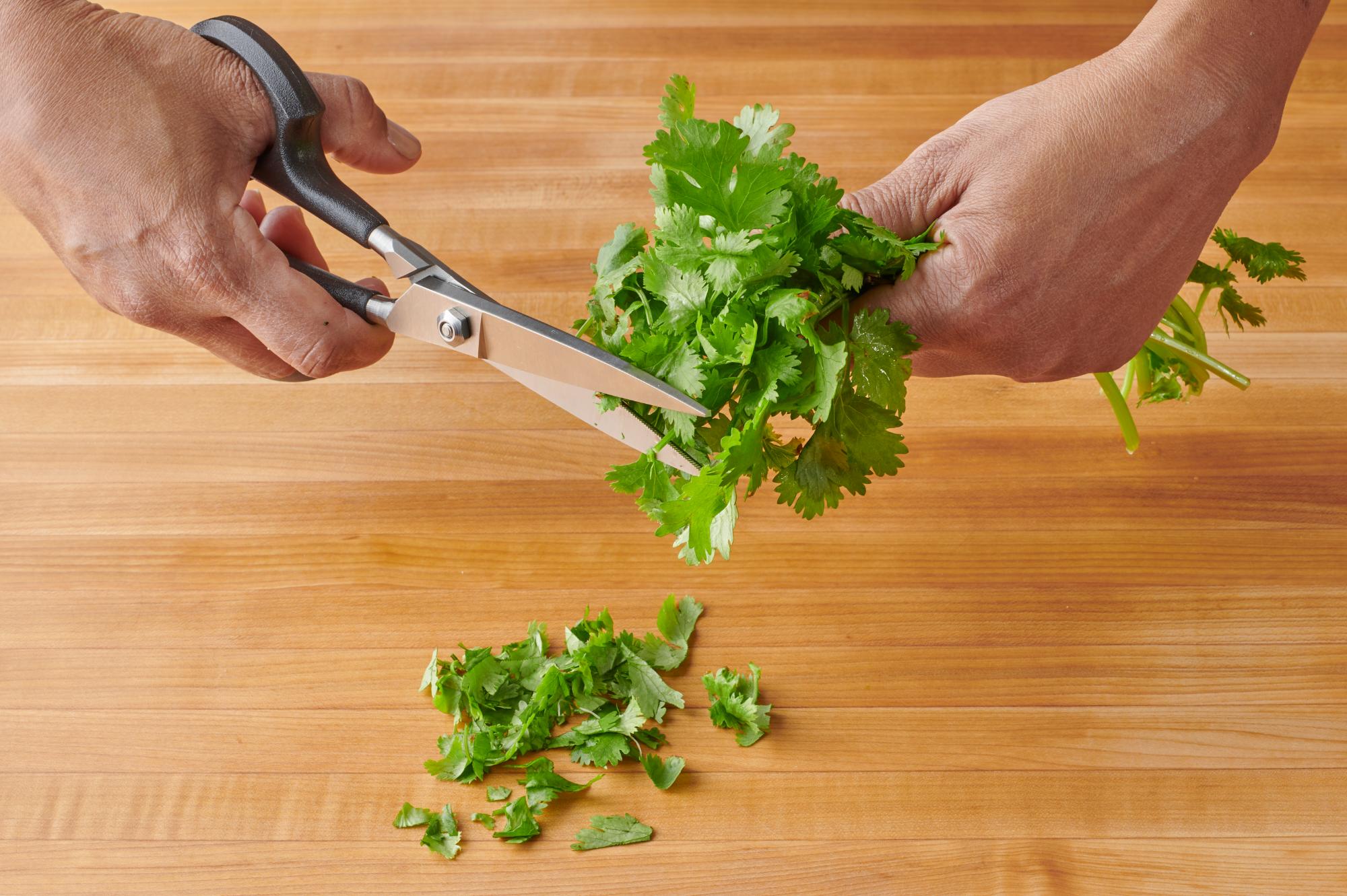 Snipping Cilantro with the Super Shears.