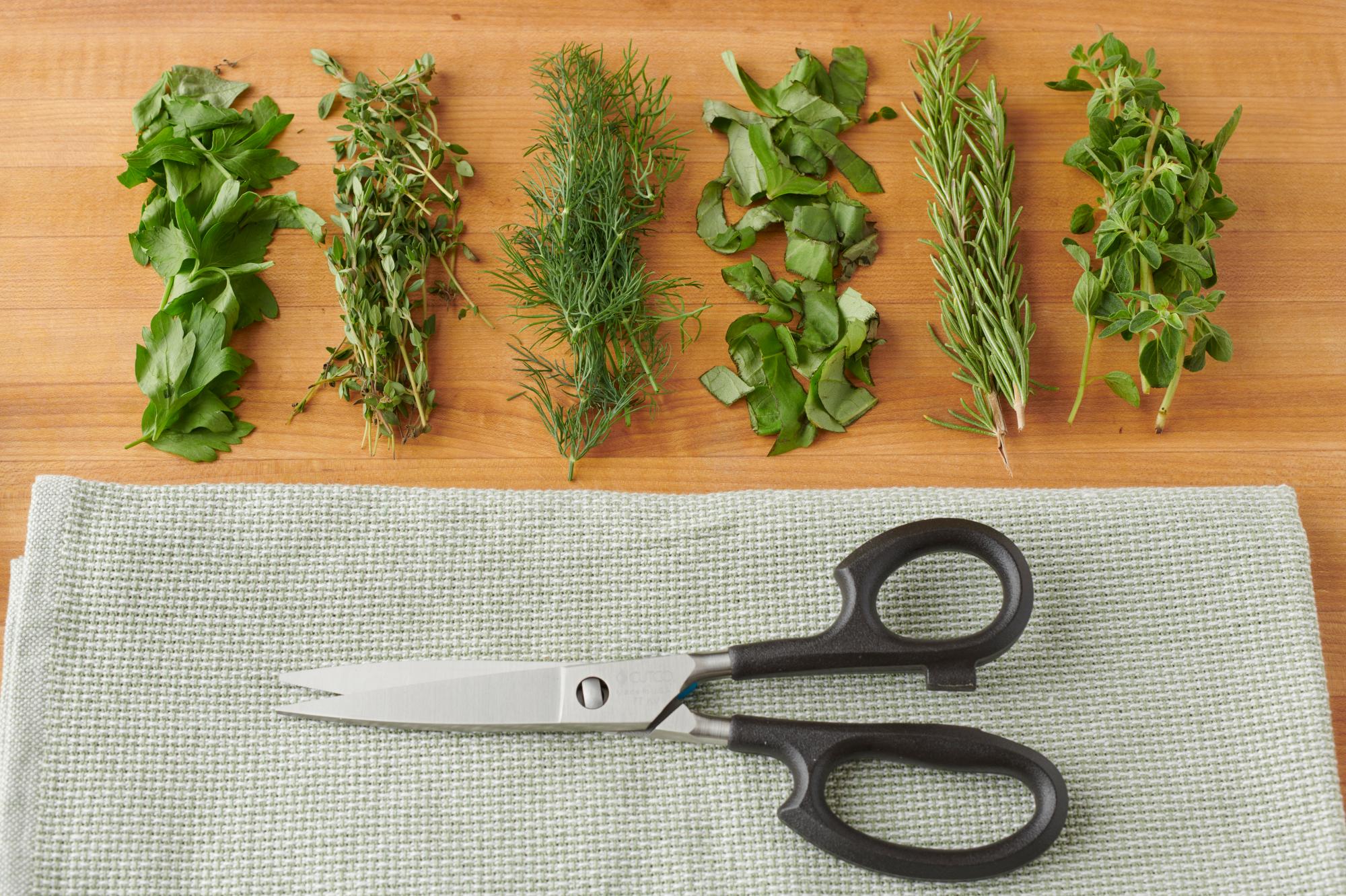 Super Shears with snipped herbs.