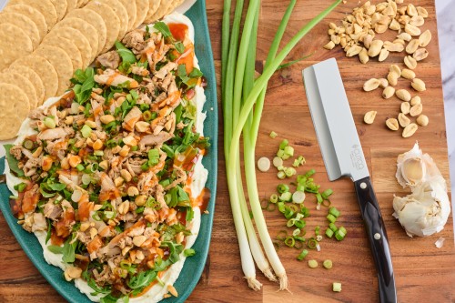 Sesame Rotisserie Chicken Dip