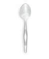 Stainless Teaspoon