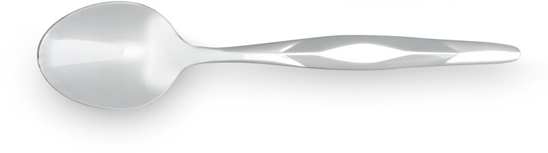 Individual Stainless Soup Spoon