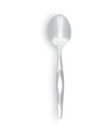 Stainless Soup Spoon