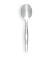 Stainless Serving Spoon