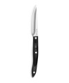 4" Gourmet Paring Knife