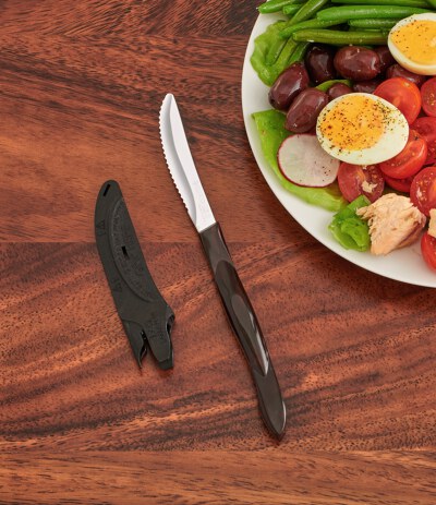 Table Knife with Sheath