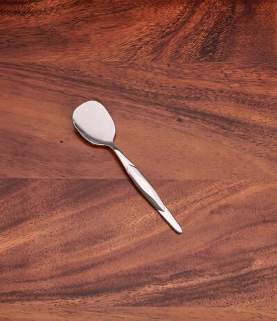 Stainless Sugar Spoon