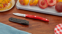 2-3/4" Paring Knife with Sheath
