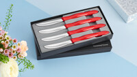 4-Pc. Table Knife Set in Gift Box