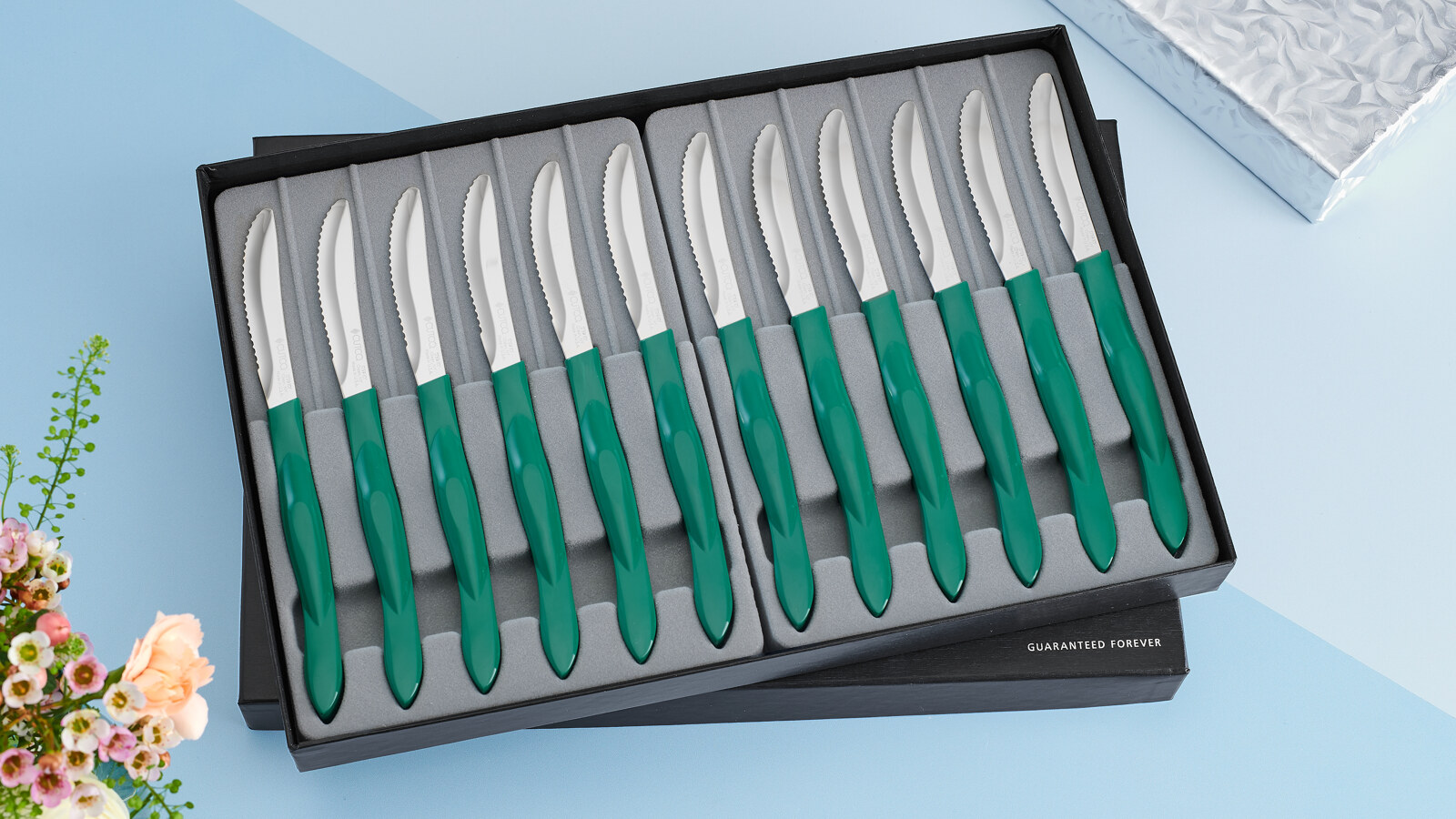 12-Pc. Table Knife Set