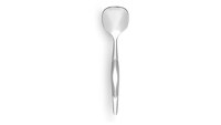 Stainless Sugar Spoon