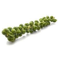 Remove Brussels sprouts from stalk