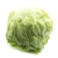 Shred lettuce