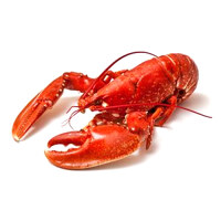 https://images.cutco.com/products/uses/lobster.jpg?width=200