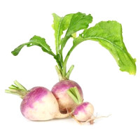 Slice turnips