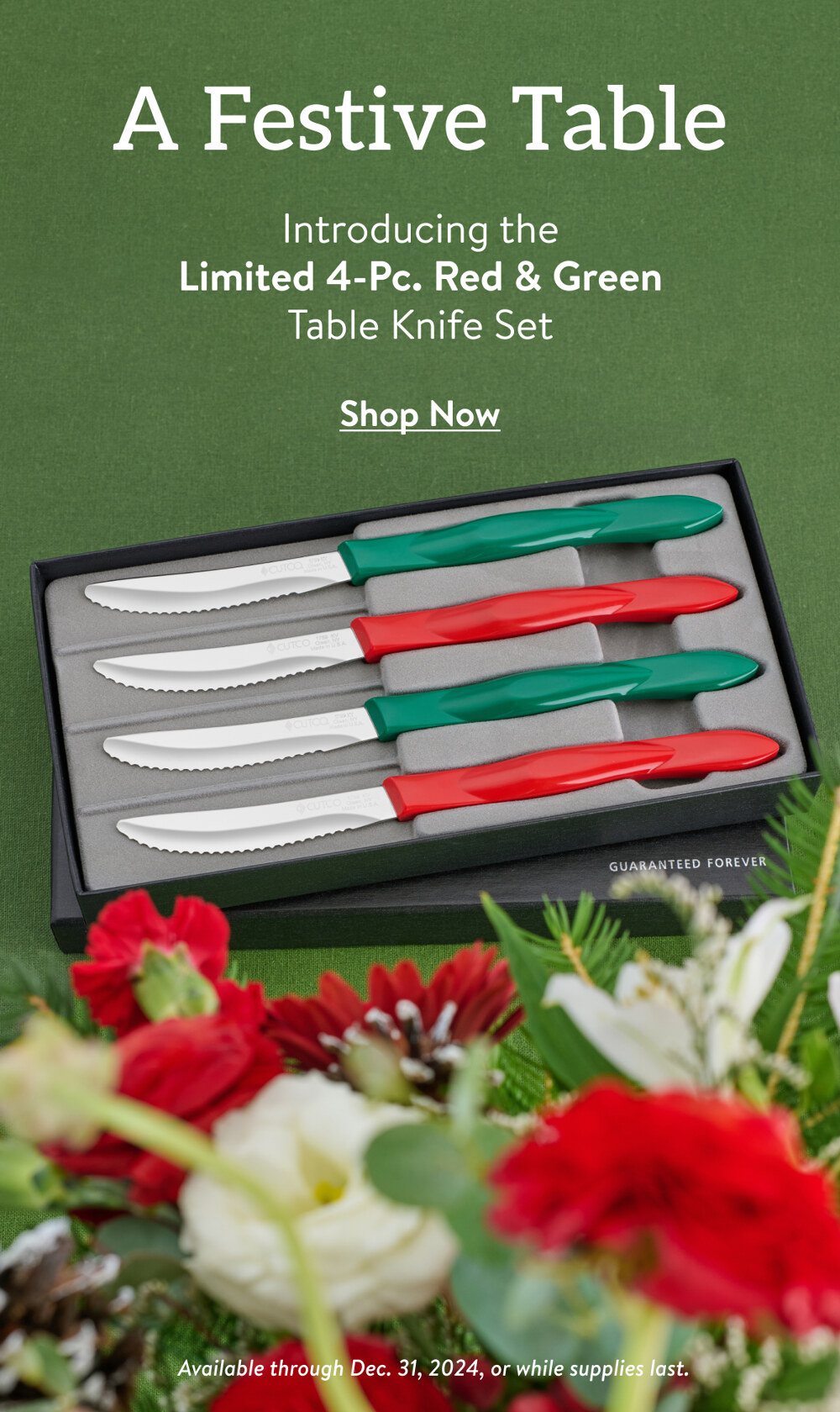 Introducing the 4-Pc. Red & Green Table Knife Set