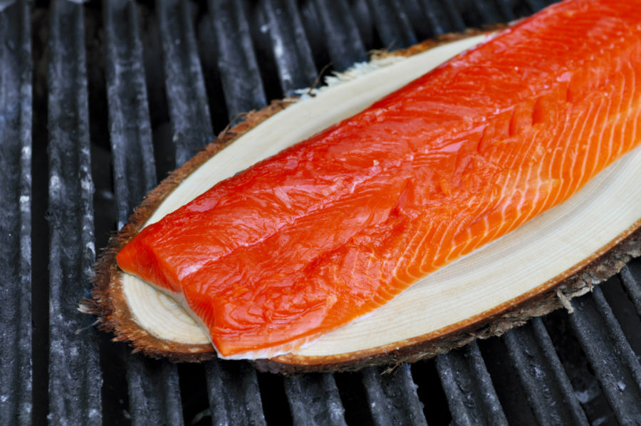 grilled-salmon-12